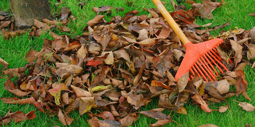 Recyclage des feuilles mortes